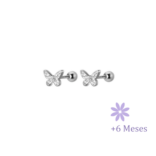 AROS MARIPOSA PLATA TORNILLO ROSCO