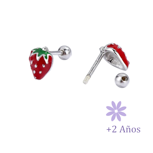 AROS FRUTILLA PLATA TORNILLO ROSCO